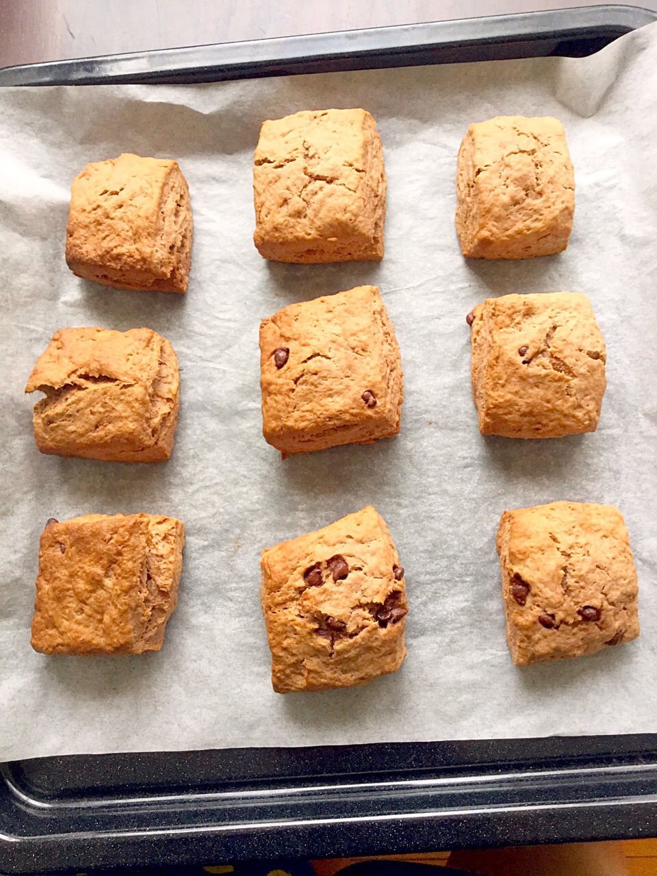 ココア・チョコチップ・スコーン